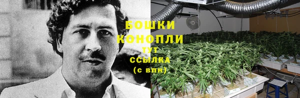 стафф Костерёво