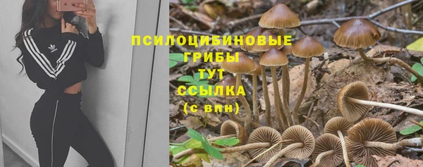 спиды Кинешма