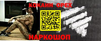 гидропоника Камышлов