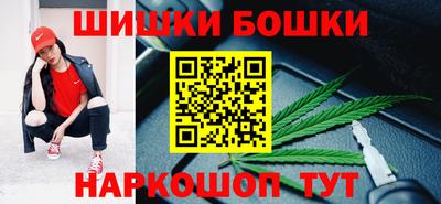 гидропоника Камышлов
