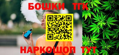 гидропоника Камышлов