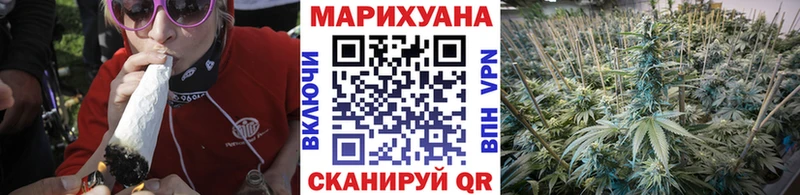 Бошки марихуана сатива Коряжма
